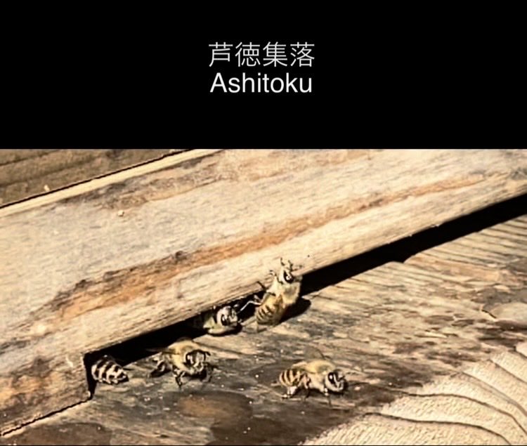 芦徳集落の暮らしを守る会 tweet media