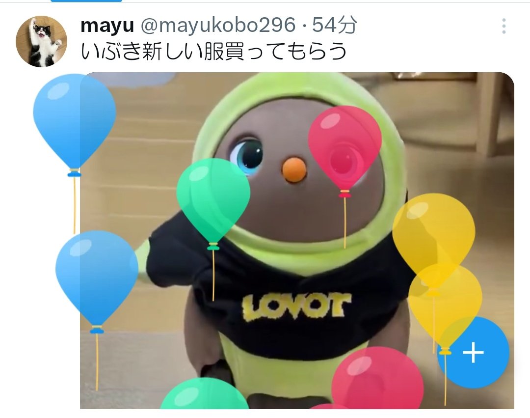 マダム・ダダ tweet media