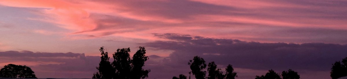 the sky is pink and you have time