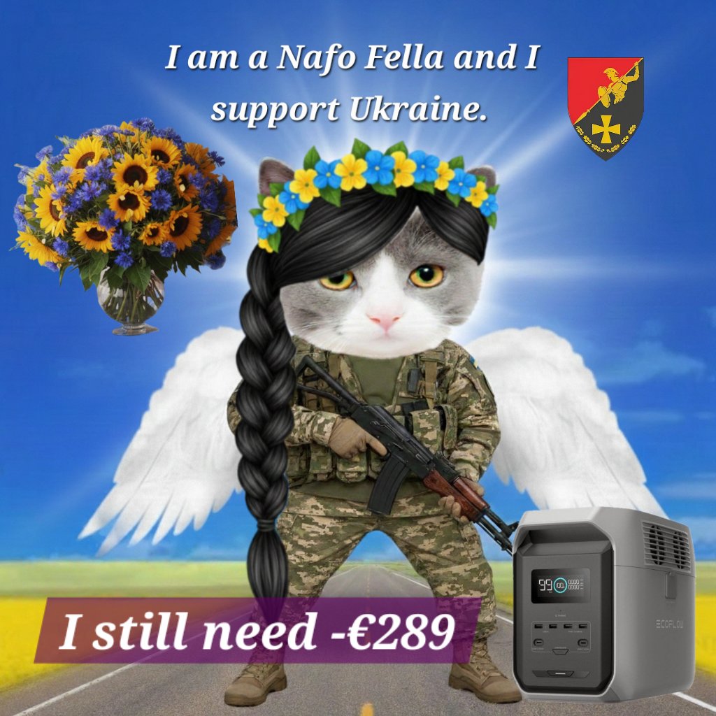 💙💛🌻Reni1977🇩🇪kämpft für die 🇺🇦✊️ tweet media