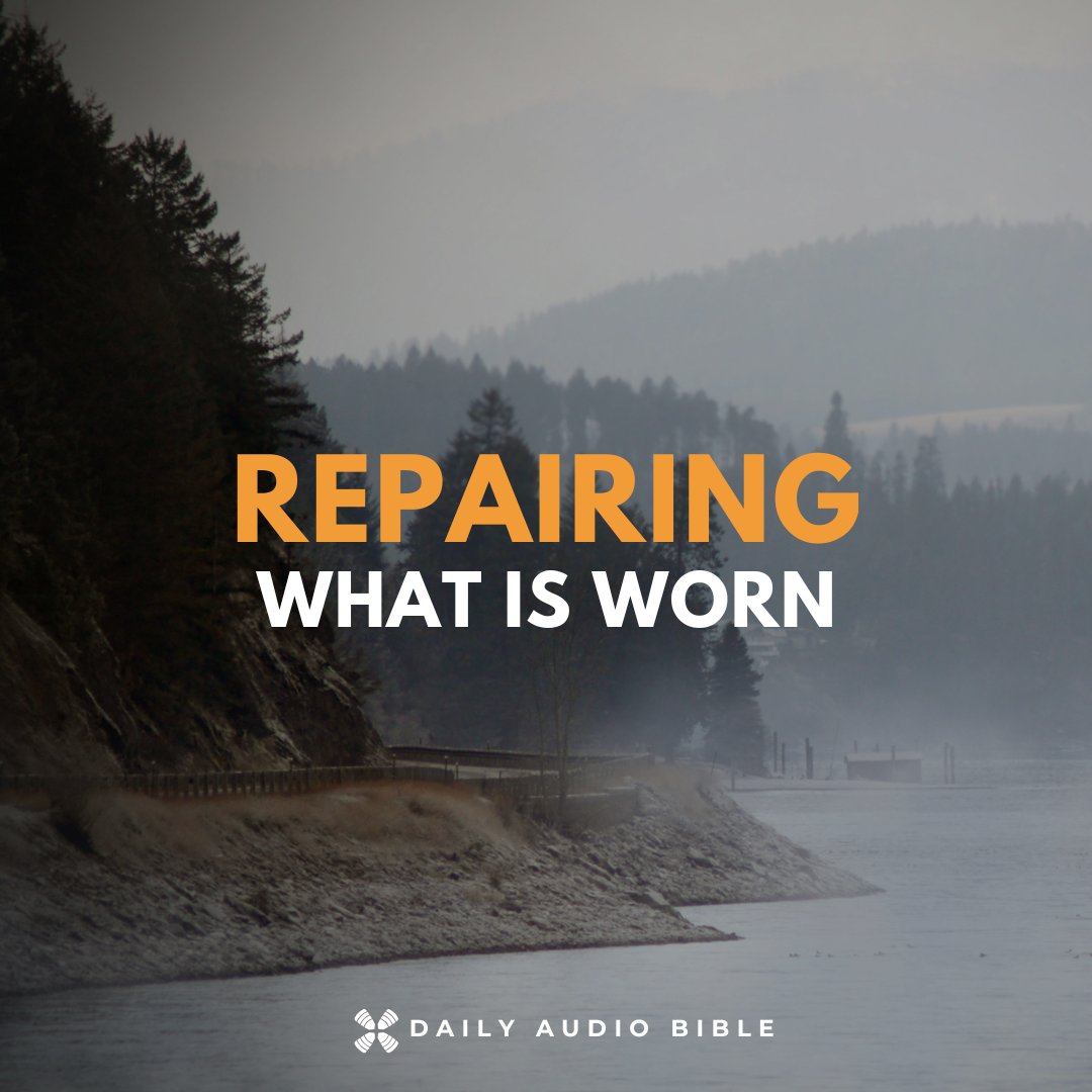 Daily Audio Bible tweet media