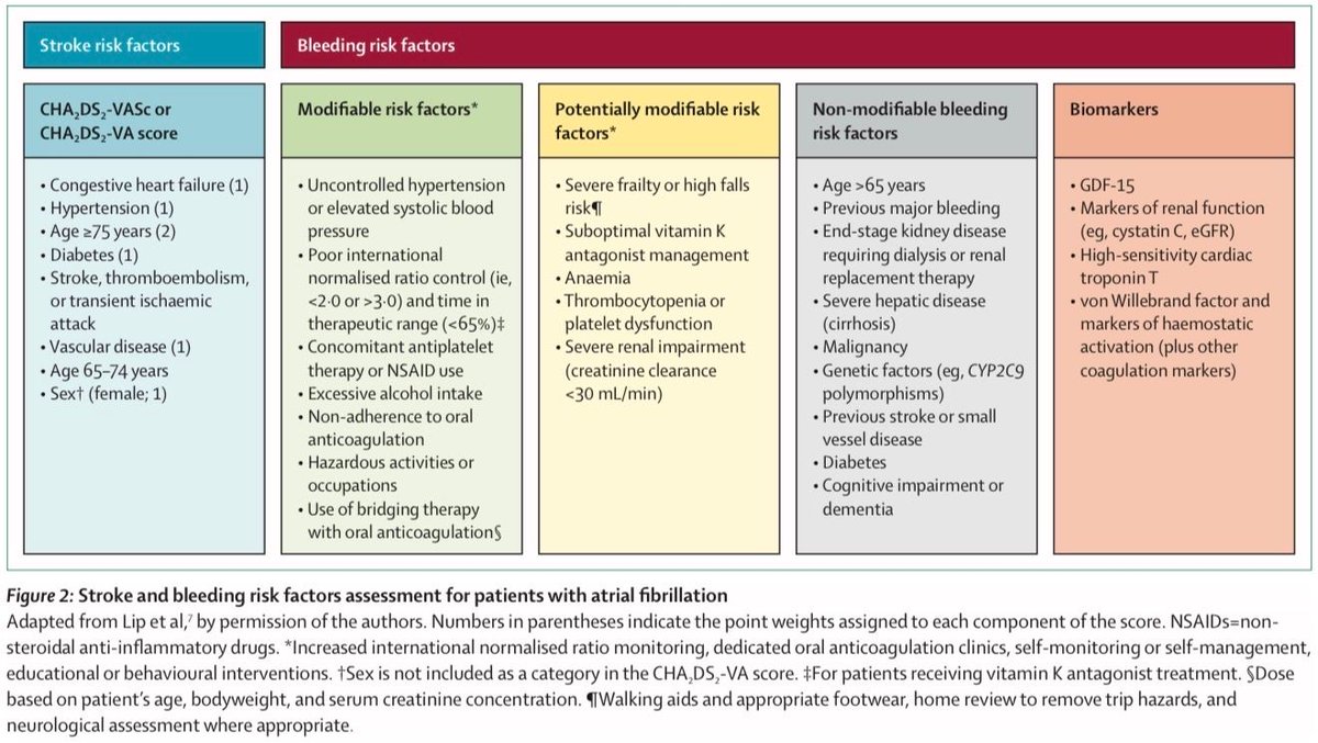 MarlonVFZR's tweet photo. 🫀⚡️𝗙𝗔: 𝗹𝗼 𝗶𝗺𝗽𝗿𝗲𝘀𝗰𝗶𝗻𝗱𝗶𝗯𝗹𝗲 🧠
@TheLancet
👇🏼👇🏼👇🏼👇🏼
📑🔗🔑🔓
https://t.co/89ht2mBRSA
⬇️⬇️⬇️⬇️
🧵👇 

📌Afecta ~37.6M 🌍 y seguirá subiendo 📈. Wearables ⌚️ detectan más FA (a veces “baja carga”)

📄🔍 𝘿𝙞𝙖𝙜𝙣𝙤́𝙨𝙩𝙞𝙘𝙤
ECG 12 derivaciones = gold standard ✅ (RR irregular + sin P). Si paroxística: Holter/patch/event 📟

🧠🛡️ 𝙋𝙧𝙞𝙤𝙧𝙞𝙙𝙖𝙙 #𝟭: 𝙥𝙧𝙚𝙫𝙚𝙣𝙞𝙧 𝘼𝘾𝙑
DOACs 🥇 > warfarina en FA no valvular: ↓ ACV/embolias y ↓ HIC 🧠🩸⬇️. Aspirina no recomendada 🚫

⌚️🤝 𝙁𝘼 𝙨𝙪𝙗𝙘𝙡𝙞́𝙣𝙞𝙘𝙖 (𝙙𝙚𝙫𝙞𝙘𝙚-𝙙𝙚𝙩𝙚𝙘𝙩𝙚𝙙)
Anticoagulación ↓ ACV isquémico ✅ pero ↑ sangrado ⚠️ → decisión compartida según riesgo

🎚️🫀 𝙎𝙞́𝙣𝙩𝙤𝙢𝙖𝙨: 𝙧𝙞𝙩𝙢𝙤 𝙩𝙚𝙢𝙥𝙧𝙖𝙣𝙤 𝙜𝙖𝙣𝙖
Control de ritmo temprano (≤12 meses) puede ↓ eventos CV/ACV 📉. Antiarrítmicos ayudan pero tienen límites 😬

🛠️⚡️ 𝘼𝙗𝙡𝙖𝙘𝙞𝙤́𝙣: 𝙘𝙖𝙙𝙖 𝙫𝙚𝙯 𝙢𝙖́𝙨 “𝙩𝙚𝙢𝙥𝙧𝙖𝙣𝙖”
Mejora recurrencia/síntomas 😌⬆️ con complicaciones graves <2% 🛡️. PFA ⚡️ promete, falta largo plazo

🧩🥗 𝙀𝙣𝙛𝙤𝙦𝙪𝙚 𝙞𝙣𝙩𝙚𝙜𝙧𝙖𝙡 (𝘼𝘽𝘾/𝘼𝙁-𝘾𝘼𝙍𝙀)
🅰️ ACV 🛡️ + 🅱️ síntomas 🎚️ + 🅲️ comorbilidades (HTA, obesidad, SAOS, alcohol) 🧂⚖️😴🍷. Reevaluar siempre 🔁

‼️Si te sirve: ❤️ Me gusta | 🔁 Repost | ➕ Follow para más #MedED en #ClubCrit 😄🧠🫶

📚📖 Más en el blog #ClubCrit 👉 [https://t.co/qdAYdo8wP9]

#ClubCrit #CardioTwitter #AFib #Cardiology #stroke #Anticoagulation #DigitalHealth #RhythmControl #EP #Ablation #Diagnosis #ICU #CriticalCare #CuidadoCrítico #MedTwitter #CritCare #Diagnóstico #icu #intensivecare #diagnosis #management #UCI #Tratamiento #MedicinaBasadaEnEvidencia #POCUS #MedEd #Medicina #Emergencias #FOAMed #FOAMcc #MedX #IntensiveCare #EducaciónMédica #MedIntensiva #MedXCommunity #MedicinaCrítica #MedED #CritCare #ICUmanagement #MustRead #LecturaRecomendada