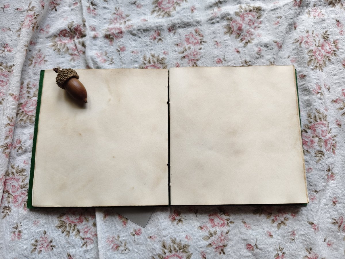 สมุดทำมือเล่มเล็กโทนวินเทจ 📔🦋
เหมาะสำหรับจดความทรงจำ เรื่องราวดีๆ ในแต่ละวัน
เรียบง่าย แต่มีเสน่ห์ทุกหน้า
#สมุดทำมือ #สมุดวินเทจ #notebook #handmade #stationerylover