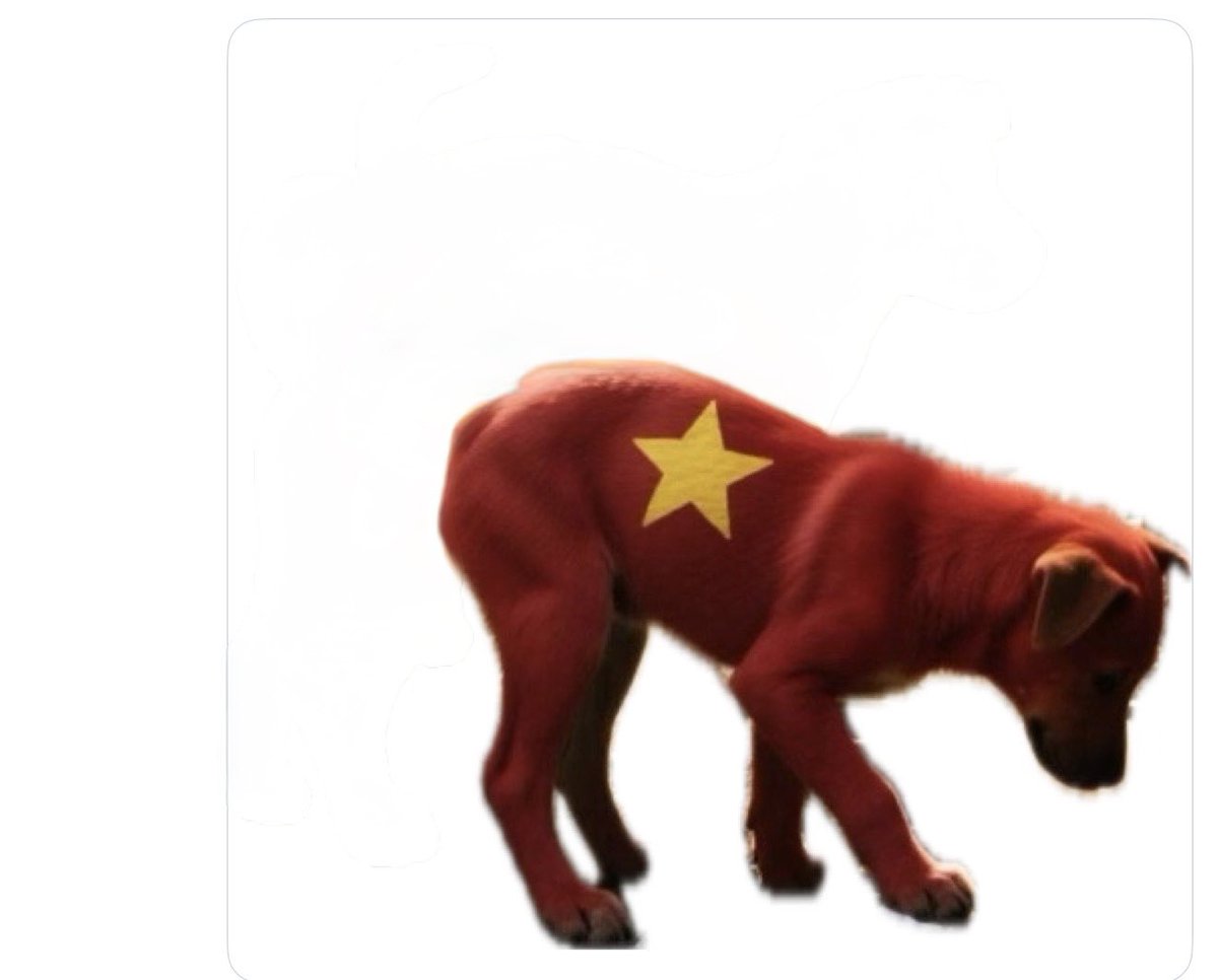 Yankee Nguyen tweet media