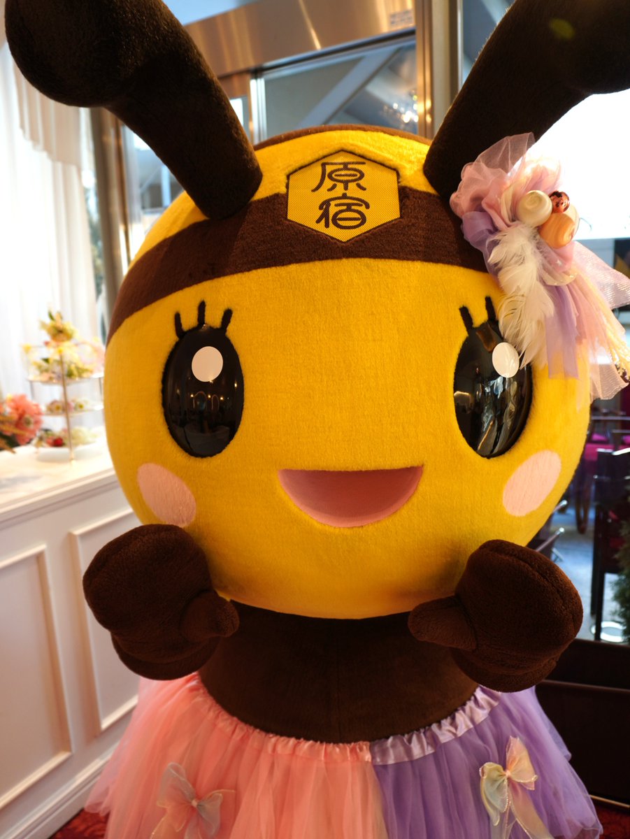 GnistStm's tweet photo. 3/8 みっころのお誕生日会に行ってきた。
つぶらな瞳がキラキラカワイイのだ。
 #みっころ #コロンバン原宿サロン #コロンバン https://t.co/JtEgdiVxcd