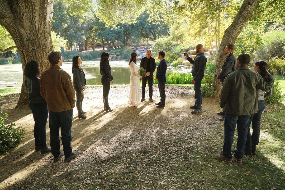 no context aos tweet media