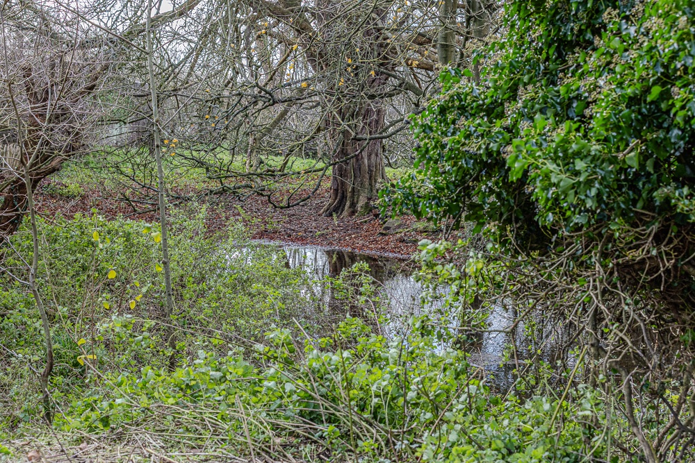 Acton Court (@actoncourt) on Twitter photo 