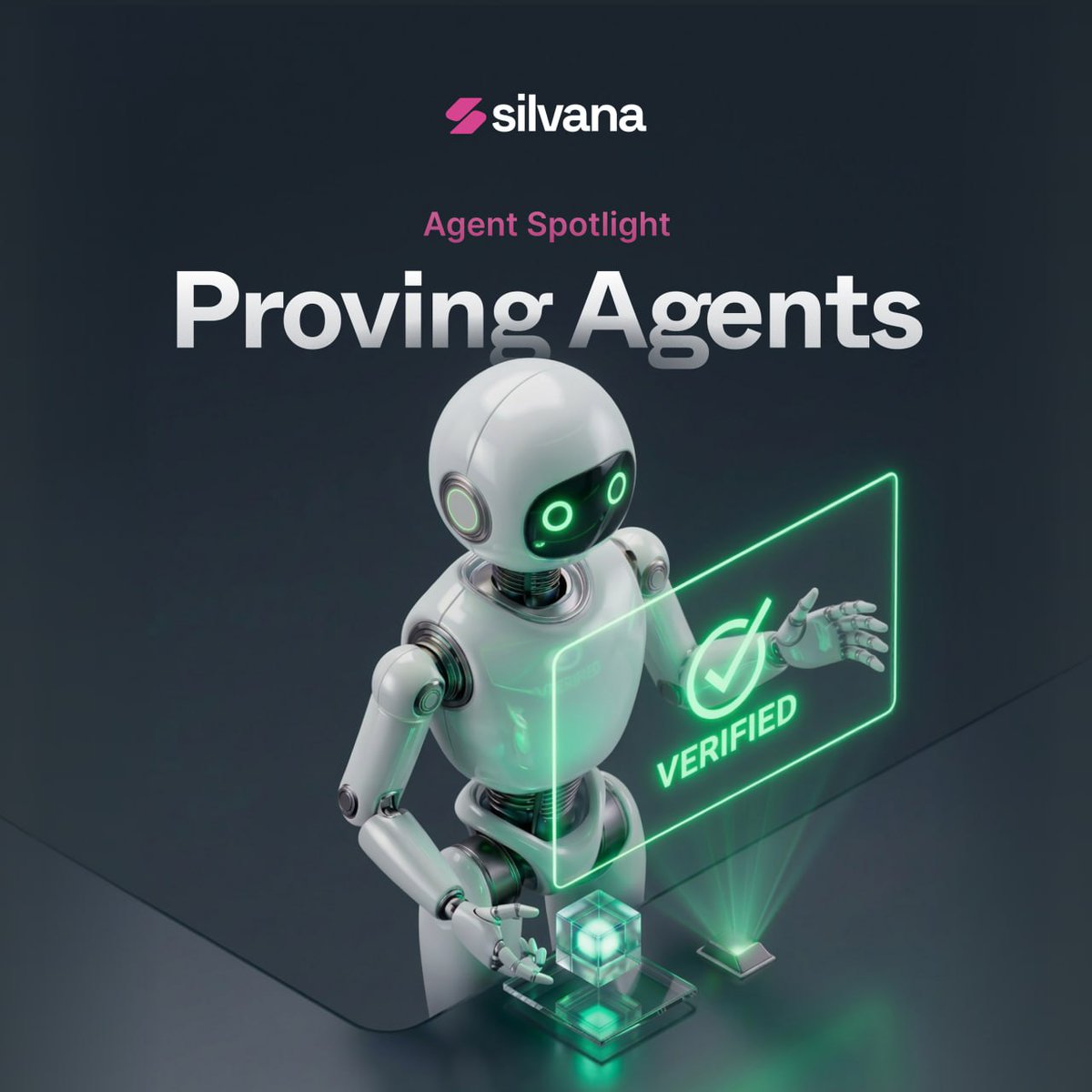 Silvana tweet media