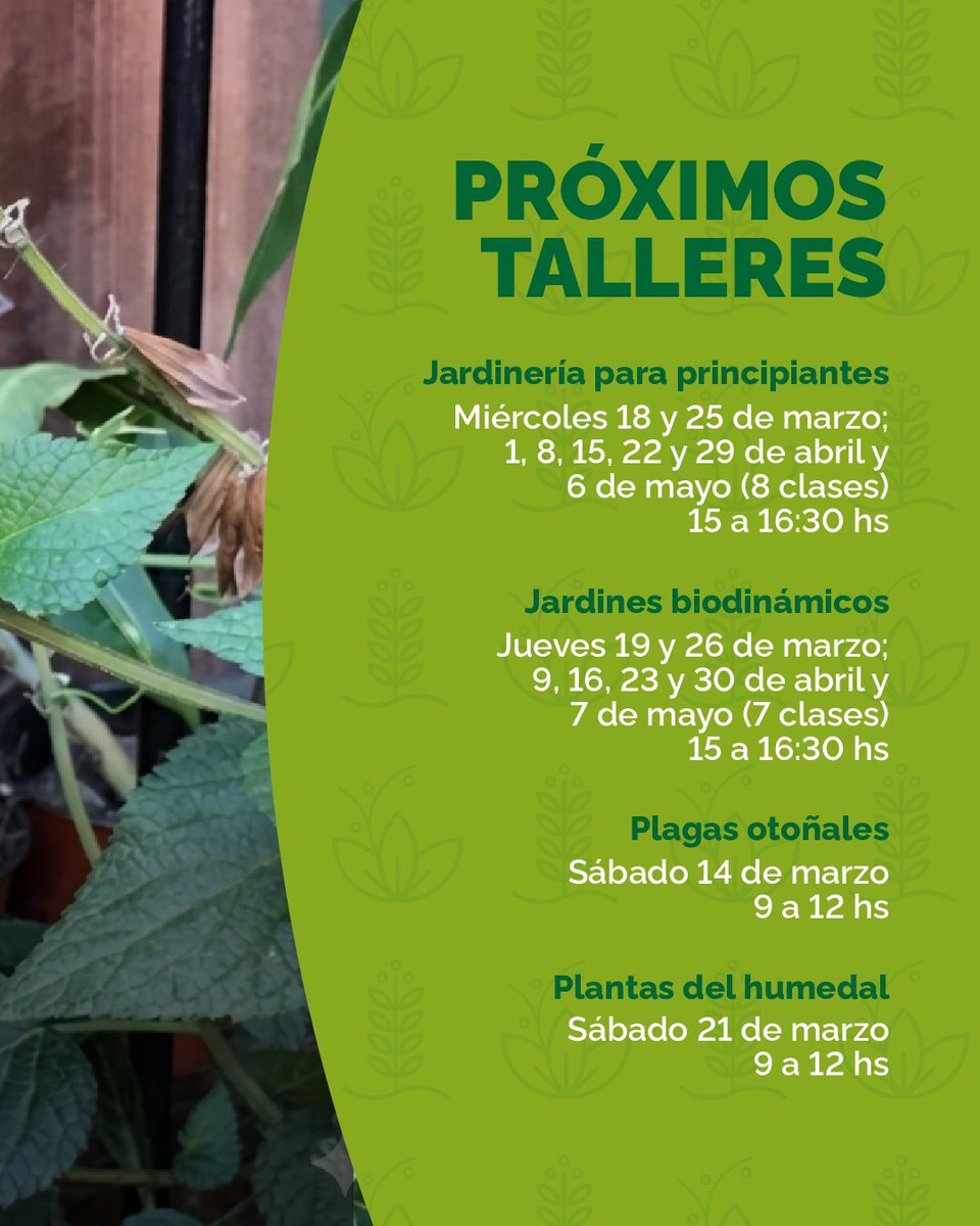 Secretaría de Ambiente y Espacio Público tweet media