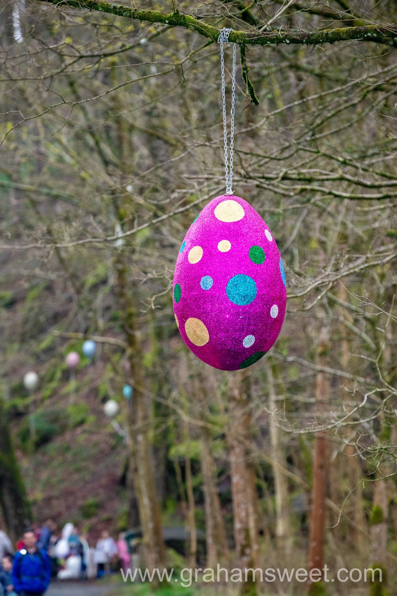With Easter approaching, we’re looking back at these giant colourful eggs from Bolton Abbey’s Easter trail. 
They looked fantastic on display and created fun photo moments for visitors.

grahamsweet.com/blog/colourful…

#Easter #EasterTrail #EventProps #BespokeDesign