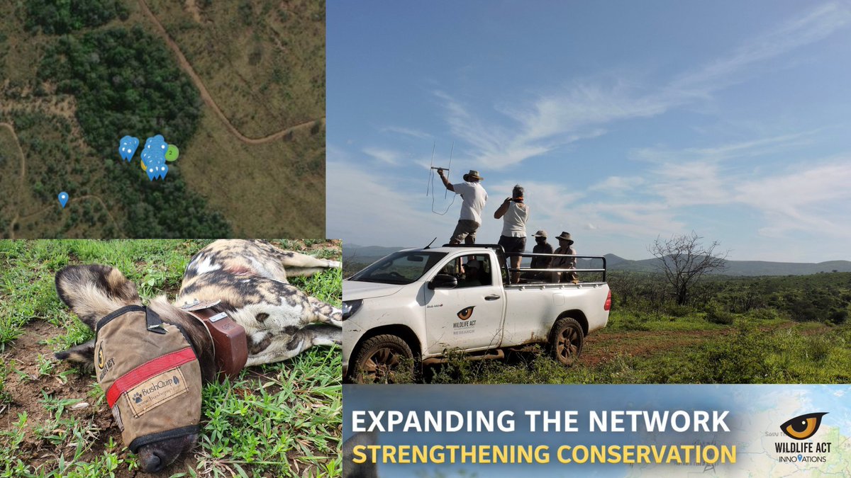 WildlifeACT Innovations tweet media