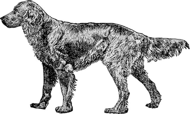 Mike Tran tweet media