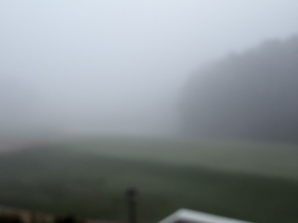 True Blue Golf Club tweet media