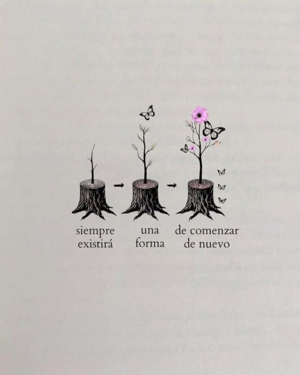 🌙 mini textos (@soyminitextos) on Twitter photo 