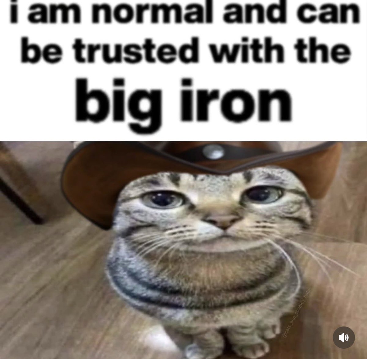 NerfNoodle tweet media