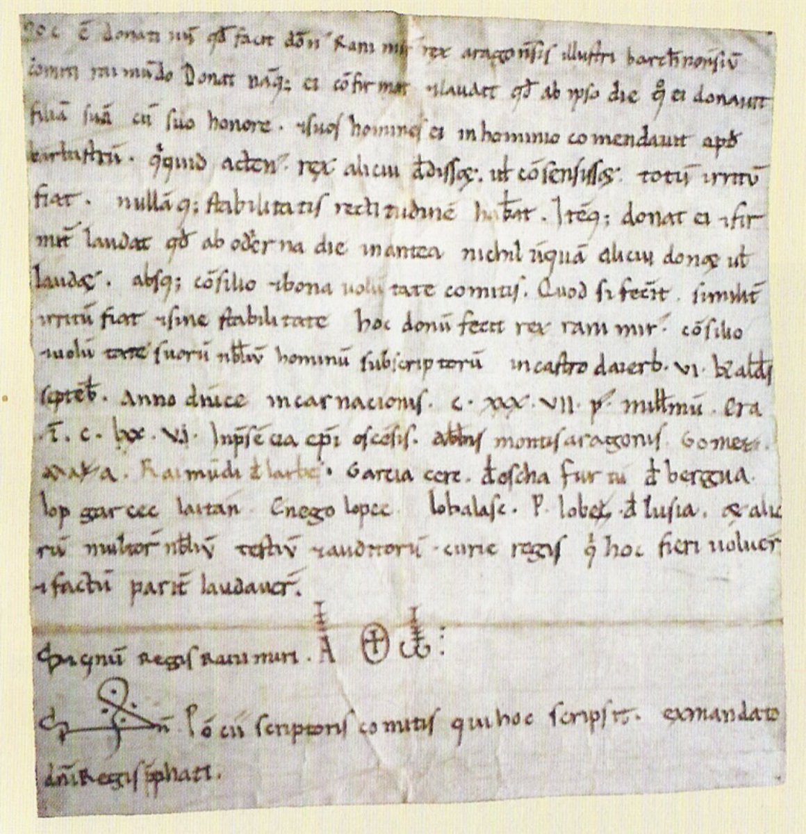 FossasJosep tweet media