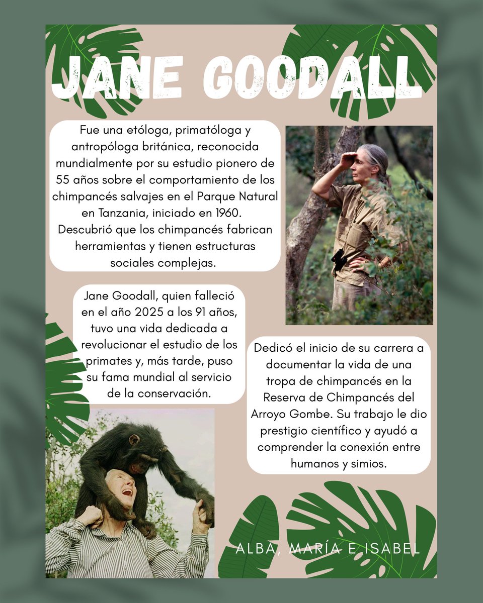 IES Manuel de Falla tweet media