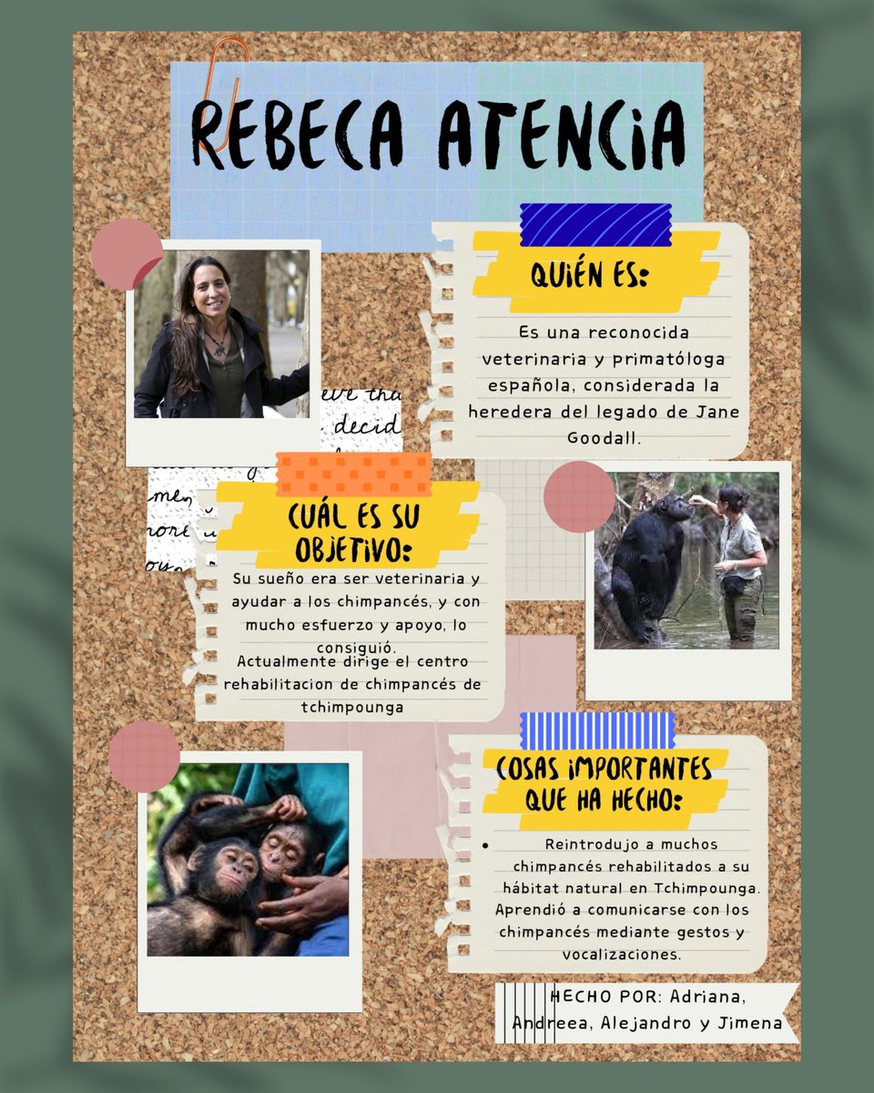 IES Manuel de Falla tweet media