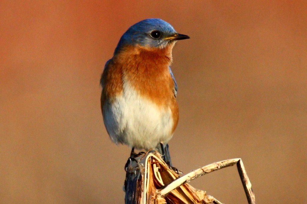 CapeHomepage 💙🇺🇸 tweet media