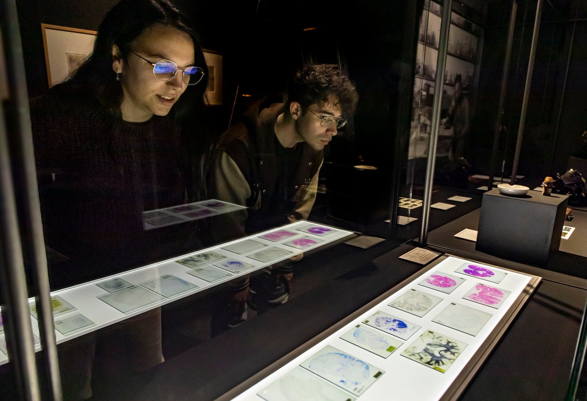 CSIC Divulga tweet media