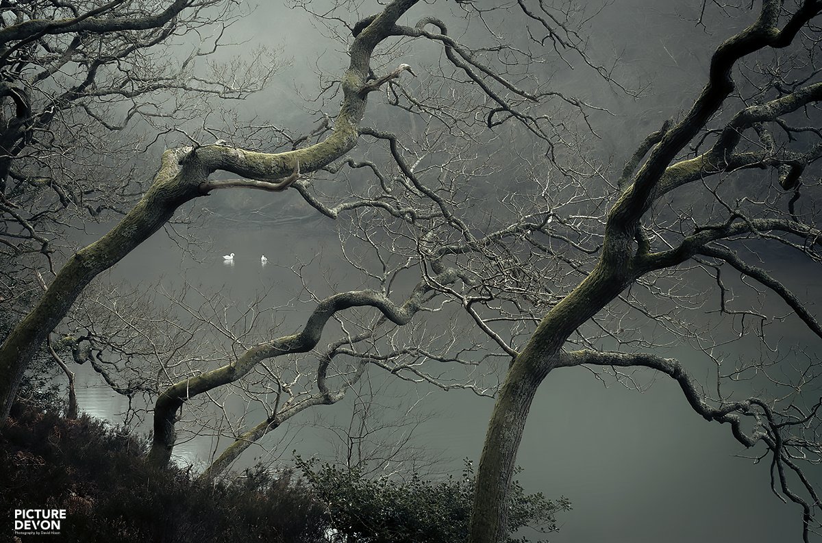 Picture Devon 🇺🇦 tweet media