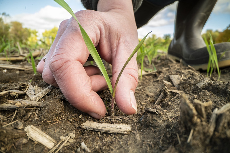 Healthy soil is the foundation of every successful farm. It stores water, cycles nutrients, and supports strong crops. NRCS puts Farmers First by providing free technical expertise and financial assistance to help you adopt soil health practices that work for your land.