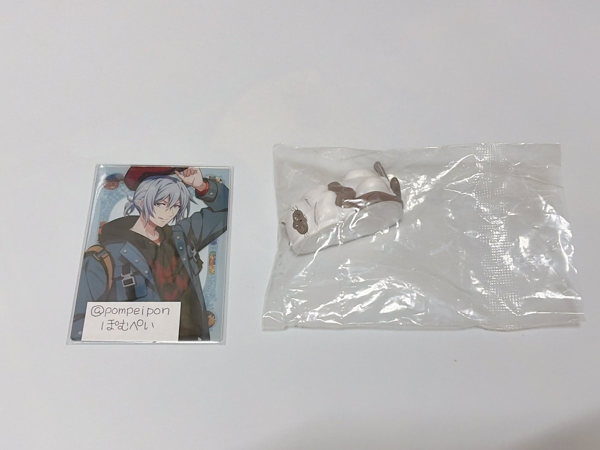 ぽむぺい tweet media