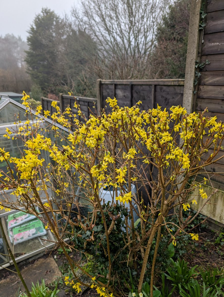 Haslemere Museum tweet media