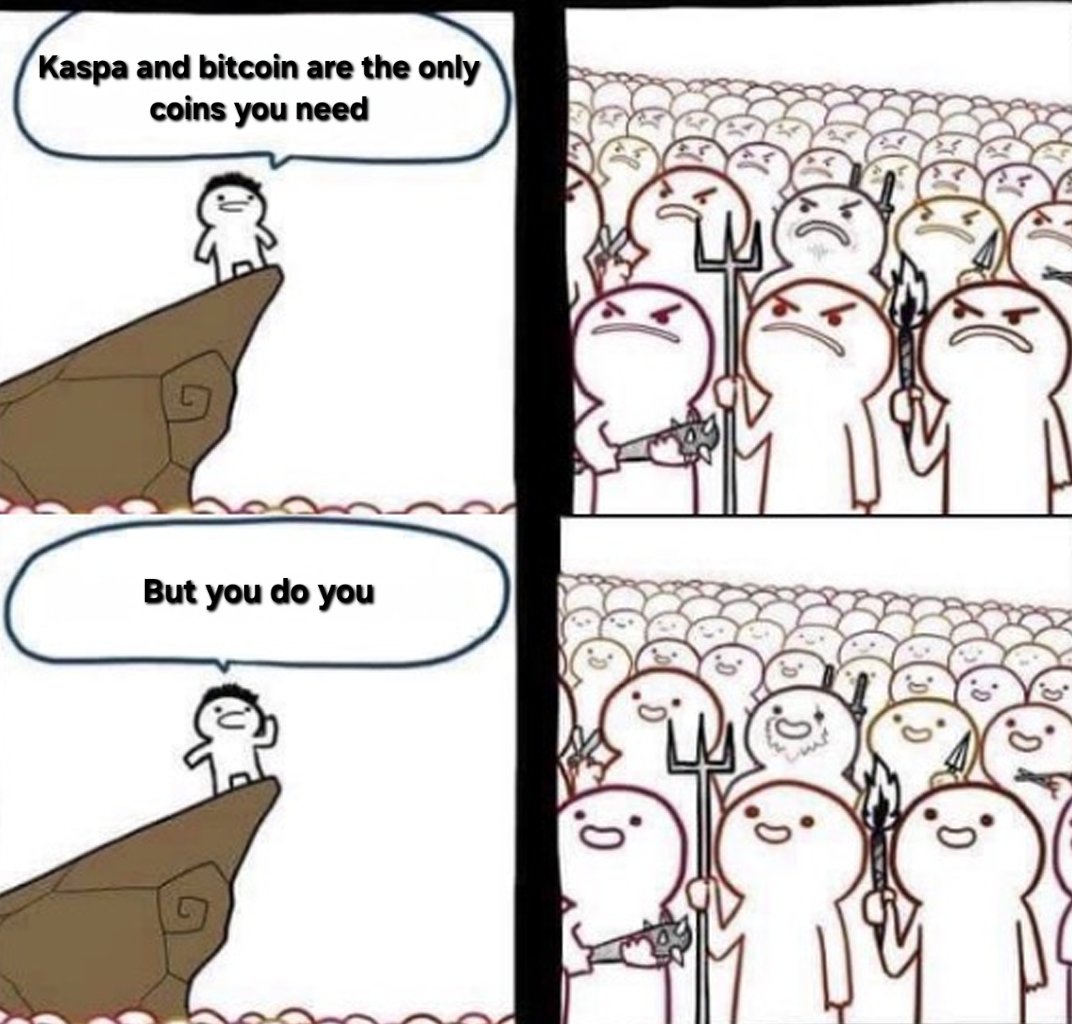 Kaspa Bro 🦈 tweet media