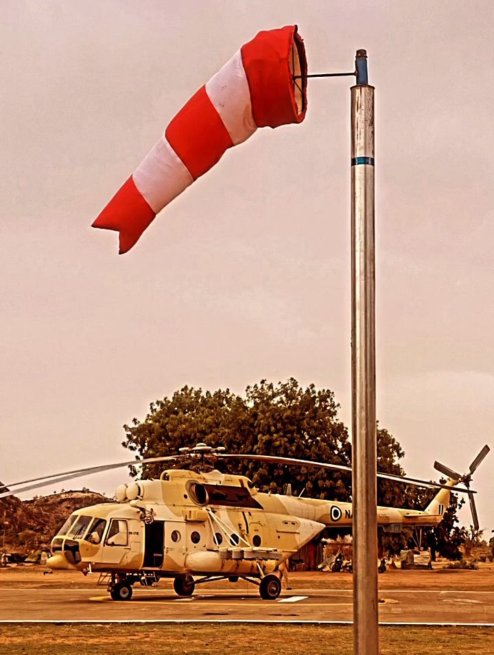 Toju weston tweet media