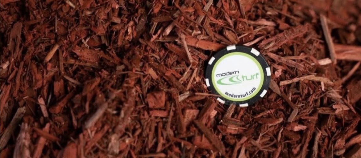 Modern Turf HQ tweet media