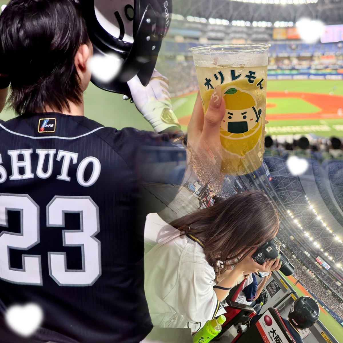 ｻｸﾗ🍏 tweet media