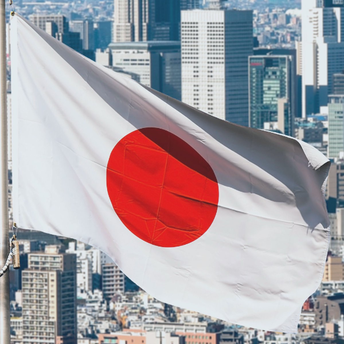 Artificial Intel 🤖 tweet media