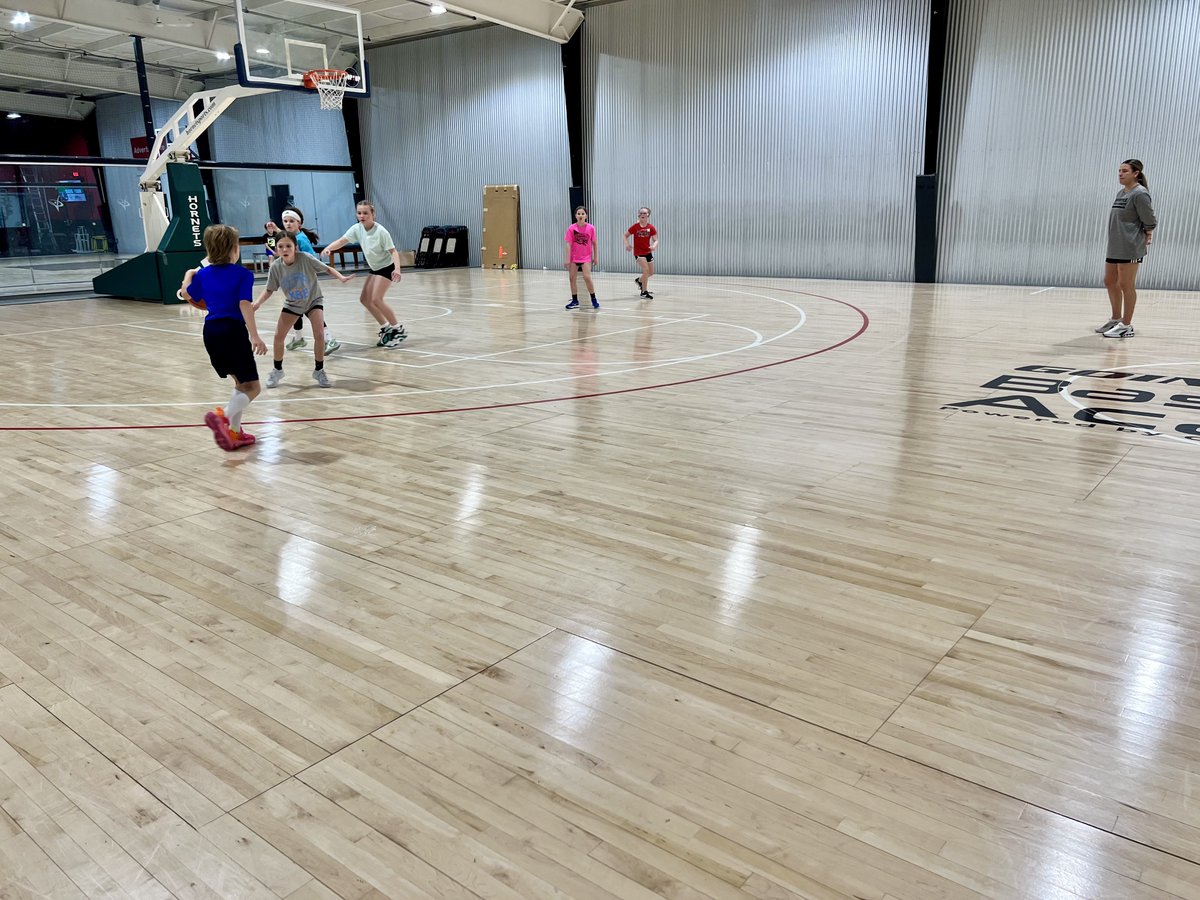 Going Vertical Basketball Academy tweet media