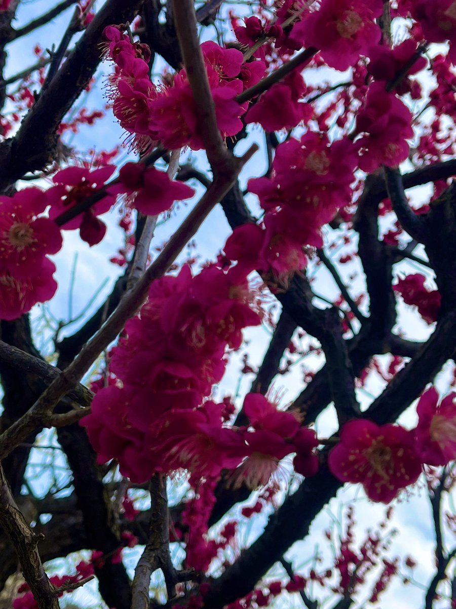 渡邊 彩乃　(Ayano Watanabe) tweet media