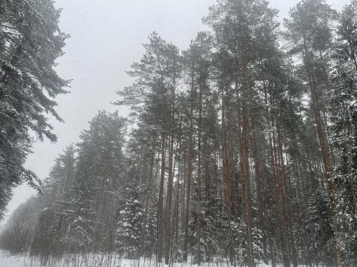 Hyperlaser tweet media