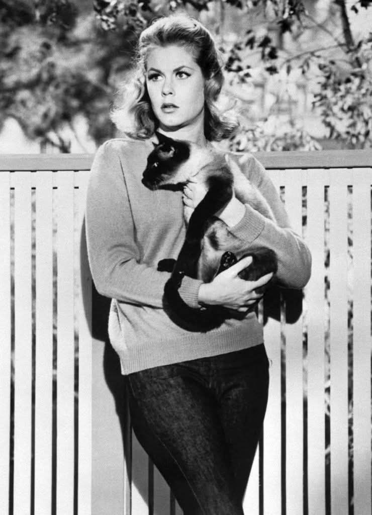 Johnny Cadillac tweet media