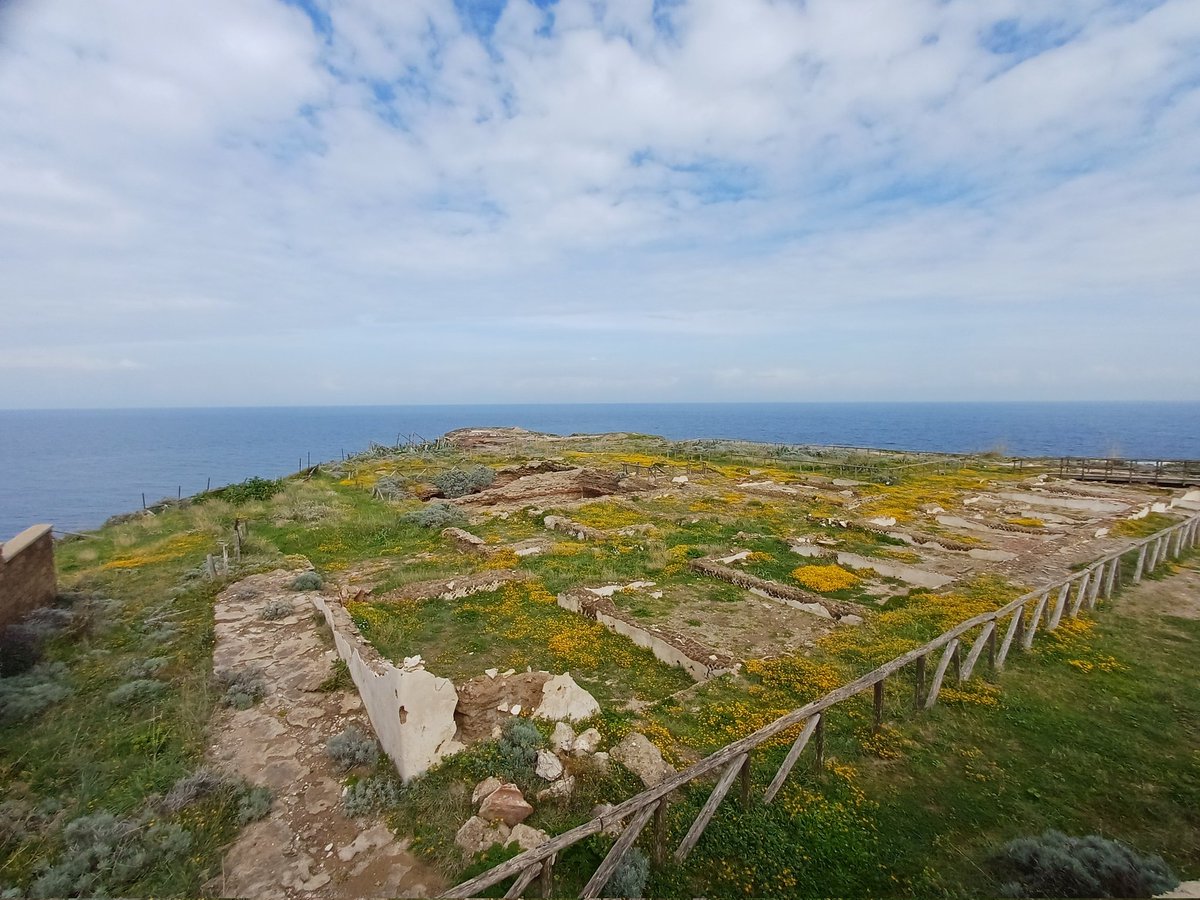 Carob Mill tweet media