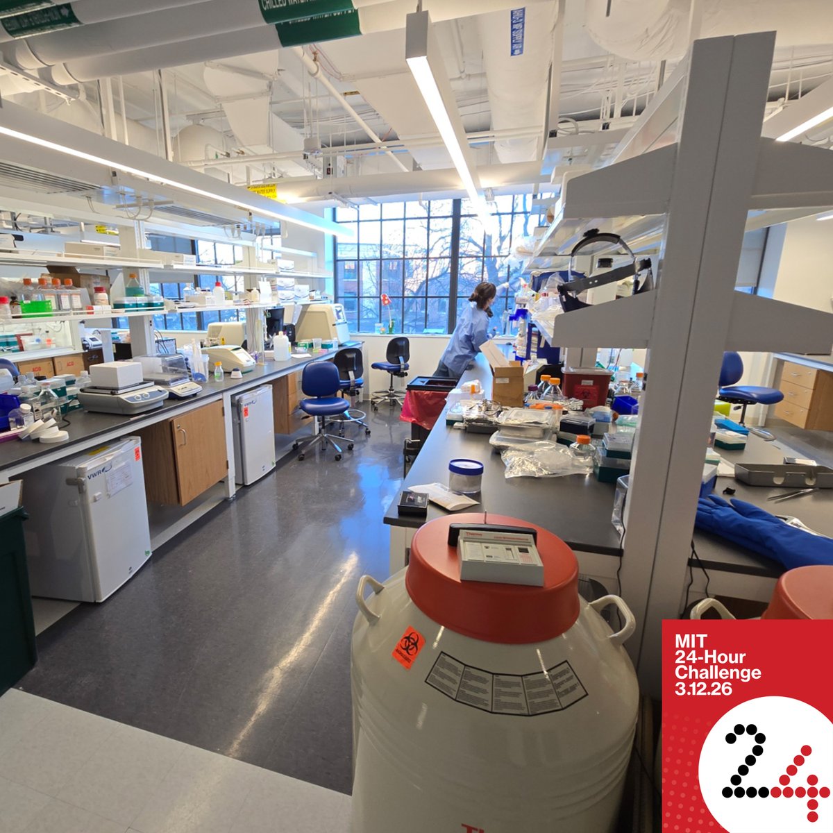 MIT Picower Institute tweet media