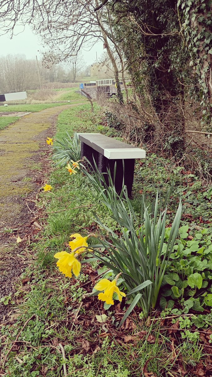 Watford Locks tweet media