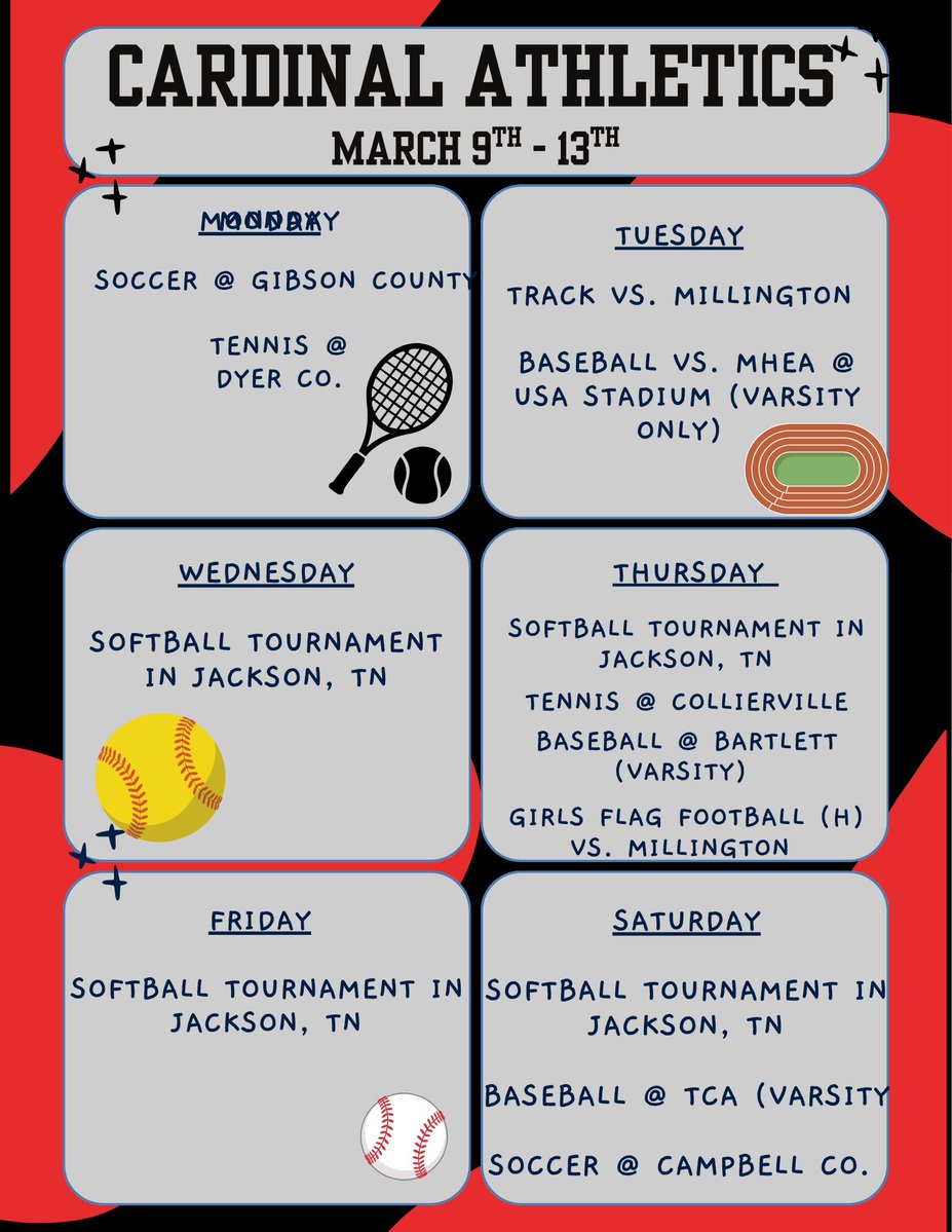 BrightonAthletics tweet media