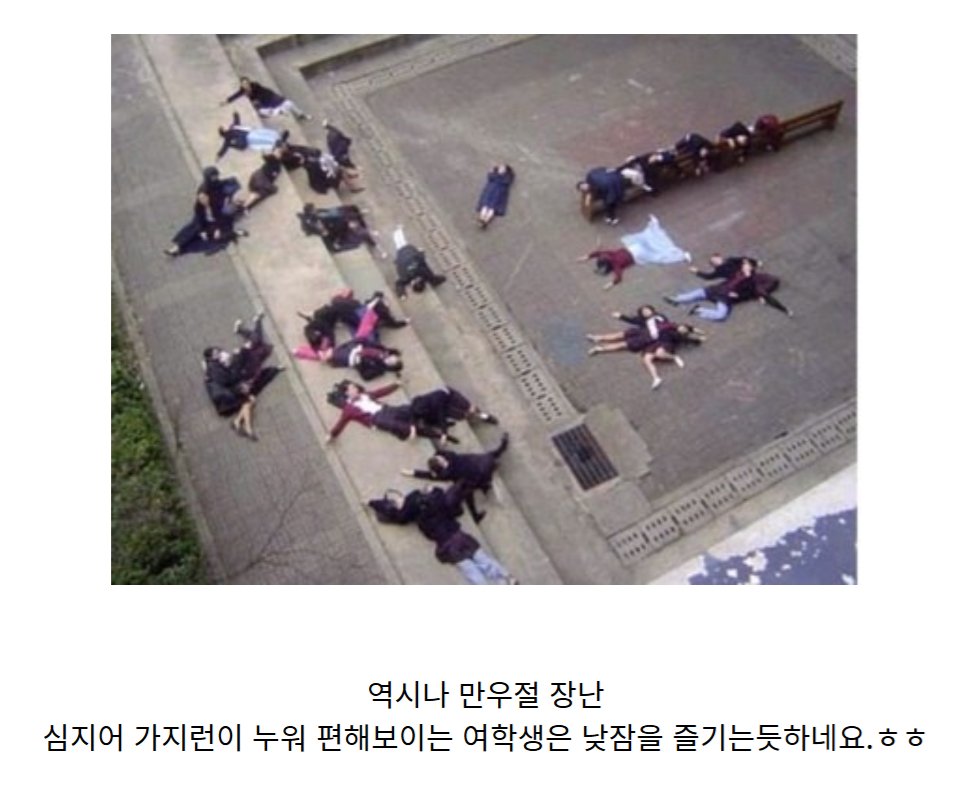 만우절 장난의 수준을 넘었잖아