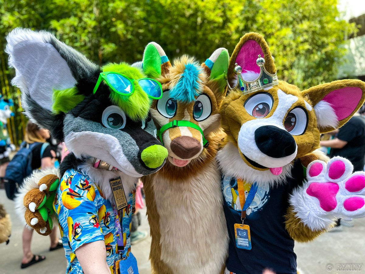 🐾Lucid Paw Creations🐾🇦🇺 tweet media