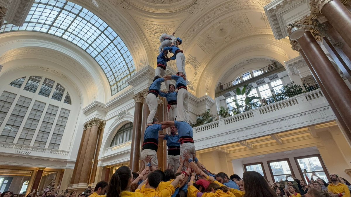 Revista Castells tweet media