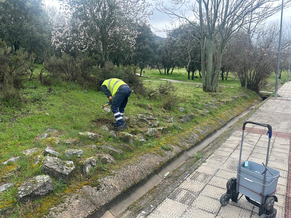 🐭🚜 El Ayuntamiento de #Moralzarzal realizó el pasado viernes 6 de marzo una campaña de desratización en todo el municipio.
🌸 El objetivo es prevenir y controlar la proliferación de roedores ante la llegada de la primavera. Seguimos trabajando por la salud pública. 🧼✅