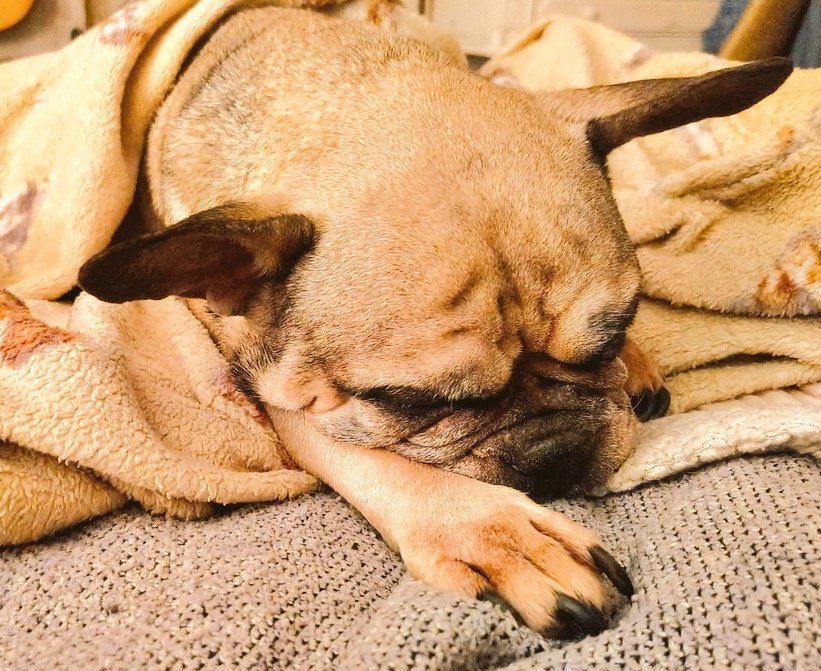 Whale Psychiatrist ™️ tweet media