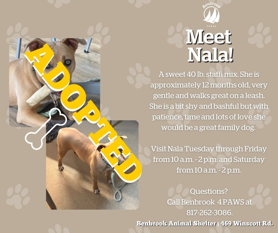 City of Benbrook, TX tweet media