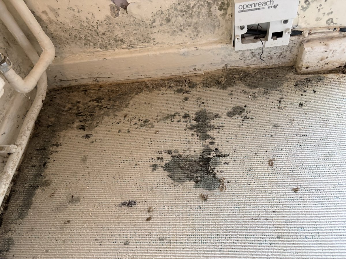 Samantha tweet media