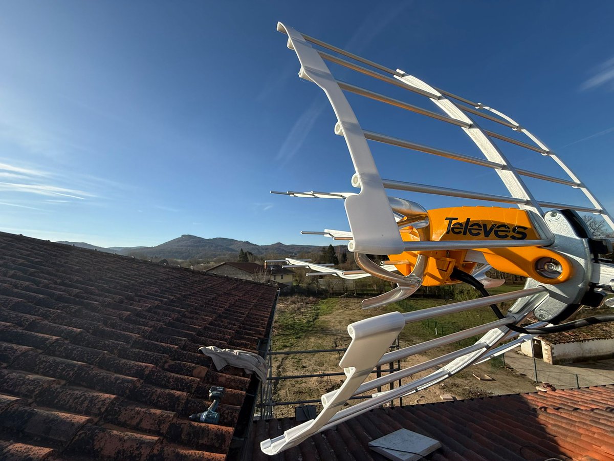 Araba ST tweet media