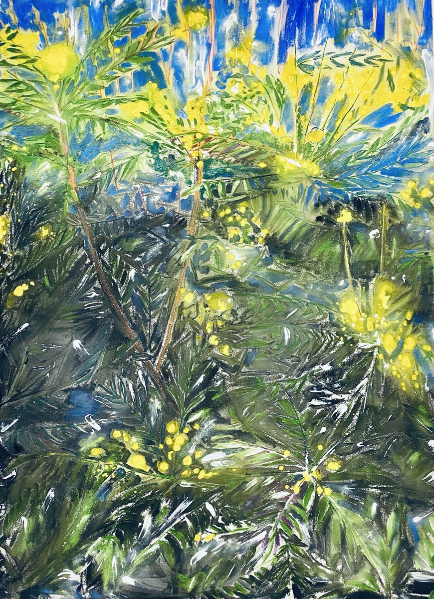 Visit Wrexham tweet media